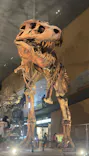 北九州市立自然史・歴史博物館（いのちのたび博物館）に投稿された画像（2026/8/9）
