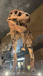 北九州市立自然史・歴史博物館（いのちのたび博物館）に投稿された画像（2026/8/9）