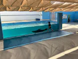 竹島水族館に投稿された画像（2026/8/9）