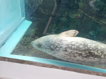 京都水族館に投稿された画像（2026/8/9）
