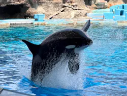名古屋港水族館に投稿された画像（2026/8/9）