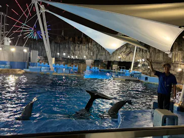 名古屋港水族館に投稿された画像（2026/8/9）