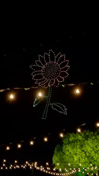 東京 星空と光の夏祭り（開催日：8月8日～16日）に投稿された画像（2026/8/9）