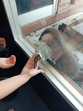 箱根園水族館に投稿された画像（2026/8/9）