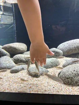 AQUARIUM × ART　atoaに投稿された画像（2026/8/9）