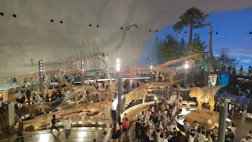 福井県立恐竜博物館に投稿された画像（2026/8/9）