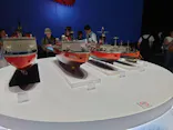 大南極展に投稿された画像（2026/8/10）