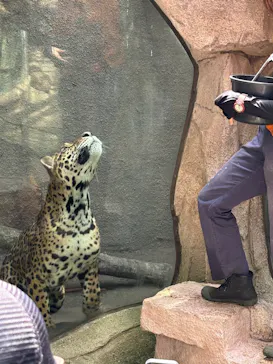 那須どうぶつ王国に投稿された画像（2026/8/9）