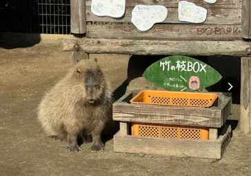 アソビュー！ポイントに投稿された画像（2026/8/9）