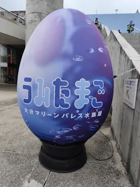 大分マリーンパレス水族館 「うみたまご」に投稿された画像（2026/8/9）