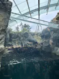 環境水族館アクアマリンふくしまに投稿された画像（2026/8/10）