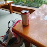 京都嵐山温泉 風風の湯に投稿された画像（2026/8/10）