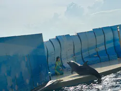 新江ノ島水族館に投稿された画像（2026/8/9）