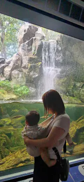 滋賀県立琵琶湖博物館に投稿された画像（2026/8/10）