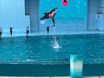 横浜・八景島シーパラダイスに投稿された画像（2026/8/10）
