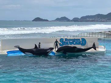 鴨川シーワールドに投稿された画像（2026/8/10）