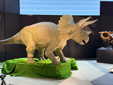 ヨコハマ恐竜展２０２６～恐竜の食卓大図鑑～に投稿された画像（2026/8/10）