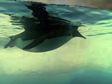 名古屋港水族館に投稿された画像（2026/8/10）