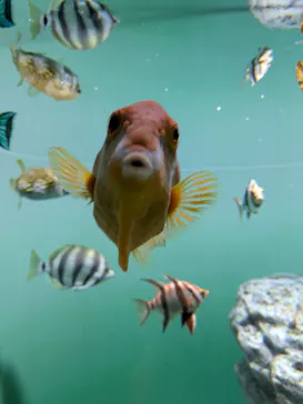 葛西臨海水族園に投稿された画像（2026/8/10）