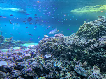 葛西臨海水族園に投稿された画像（2026/8/10）