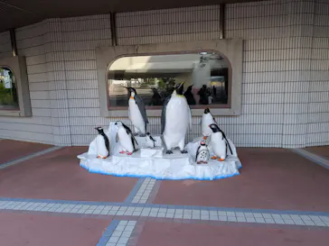 アドベンチャーワールドに投稿された画像（2026/8/10）