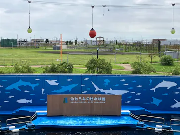 仙台うみの杜水族館に投稿された画像（2026/8/10）