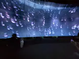 サンシャイン水族館に投稿された画像（2026/8/10）