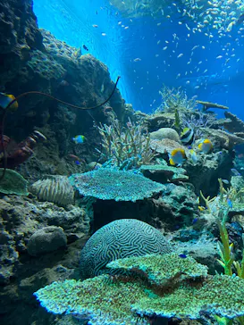 アクアワールド茨城県大洗水族館に投稿された画像（2026/8/10）