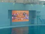 横浜・八景島シーパラダイスに投稿された画像（2026/8/10）