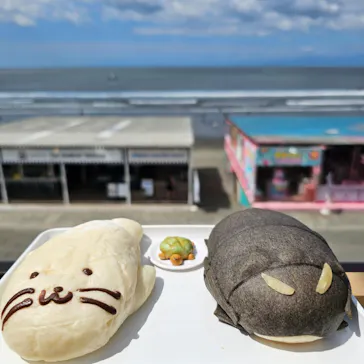 新江ノ島水族館に投稿された画像（2026/8/10）