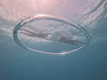 青の洞窟専門店　沖縄ダイビングショップ和に投稿された画像（2026/8/10）