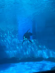 名古屋港水族館に投稿された画像（2026/8/10）