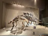 国立科学博物館に投稿された画像（2026/8/10）