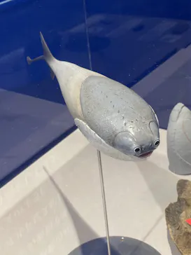 特別展　大絶滅展に投稿された画像（2026/8/10）