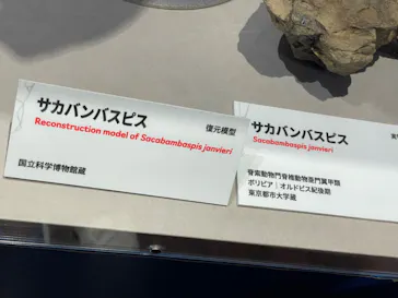 特別展　大絶滅展に投稿された画像（2026/8/10）