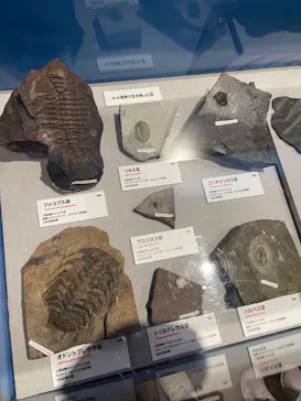 特別展　大絶滅展に投稿された画像（2026/8/10）