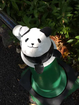 上野動物園 ハシビロカートに投稿された画像（2026/8/10）
