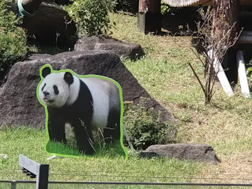 上野動物園 ハシビロカートに投稿された画像（2026/8/10）