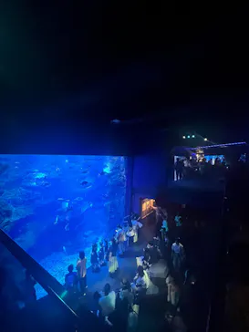 京都水族館に投稿された画像（2026/8/10）