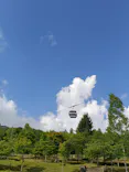 アソビュー！ポイントに投稿された画像（2026/8/10）