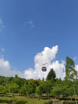 アソビュー！ポイントに投稿された画像（2026/8/10）