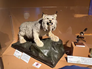 特別展「いきもの超ワールド展　国立科学博物館×ダーウィンが来た！」（国立科学博物館）に投稿された画像（2026/8/10）
