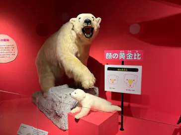 特別展「いきもの超ワールド展　国立科学博物館×ダーウィンが来た！」（国立科学博物館）に投稿された画像（2026/8/10）
