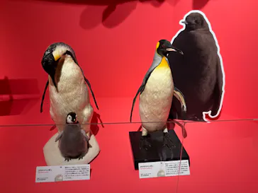 特別展「いきもの超ワールド展　国立科学博物館×ダーウィンが来た！」（国立科学博物館）に投稿された画像（2026/8/10）