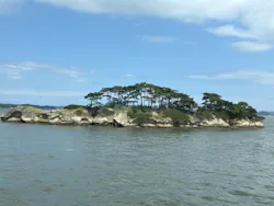 丸文松島汽船に投稿された画像（2026/8/10）