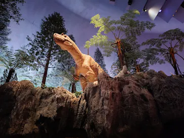 とぶ　空を旅する生きものたちの大冒険 (北九州市立自然史・歴史博物館（いのちのたび博物館))に投稿された画像（2026/8/10）