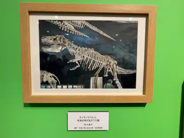 プレバト才能アリ展（大阪会場）に投稿された画像（2026/8/10）