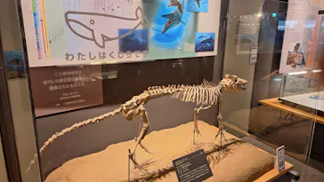 福井県立恐竜博物館に投稿された画像（2026/8/10）
