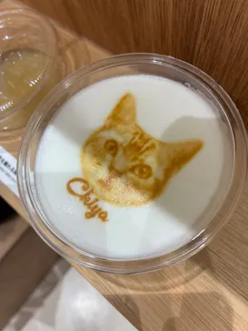 Cat Café MOFF コクーンシティさいたま新都心店に投稿された画像（2026/8/10）