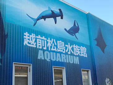 越前松島水族館に投稿された画像（2026/8/10）